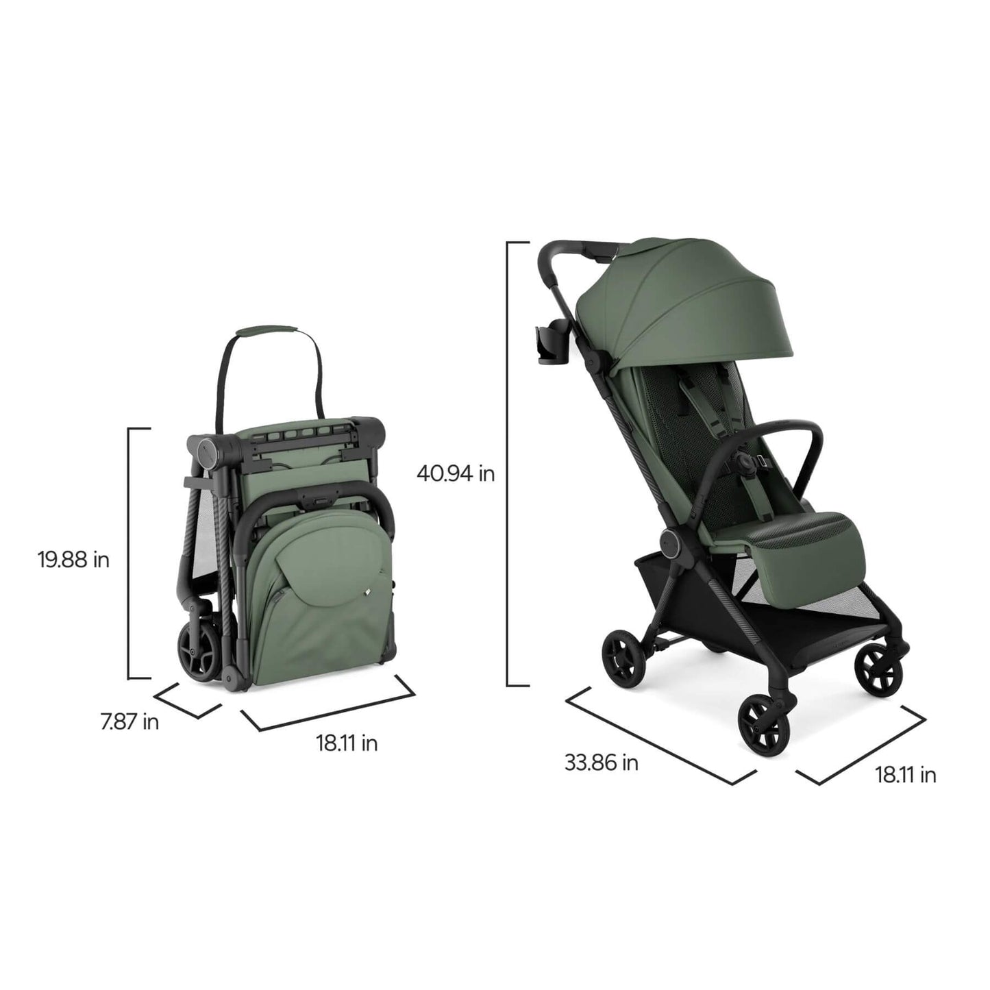 Mompush Nexis - Forest with dimensions displayed on a white background