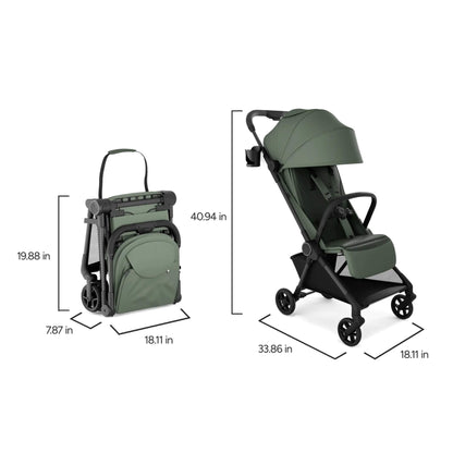 Mompush Nexis - Forest with dimensions displayed on a white background