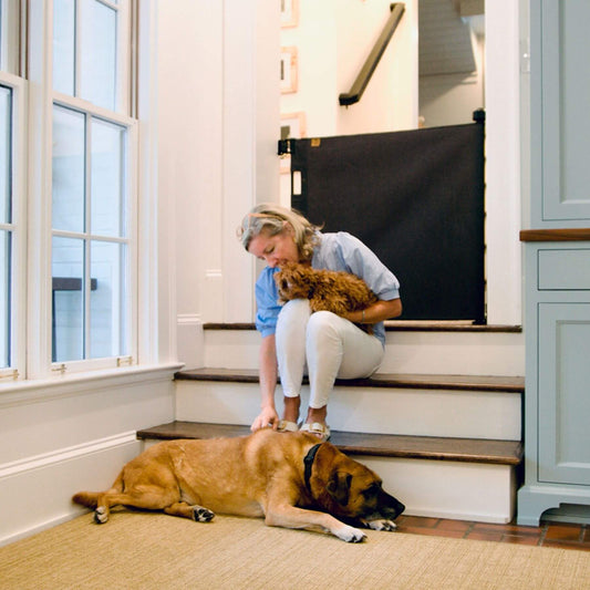 Woman sitting on a staircase with a dog, surrounded by home decor elements.