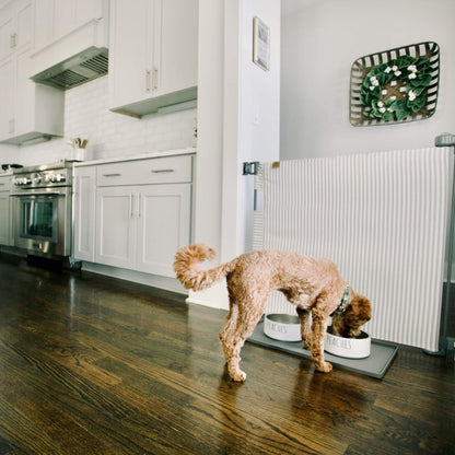 A small brown poodle dog eats from a white bowl placed on a gray mat in a modern kitchen with white cabinets and dark wood floors.