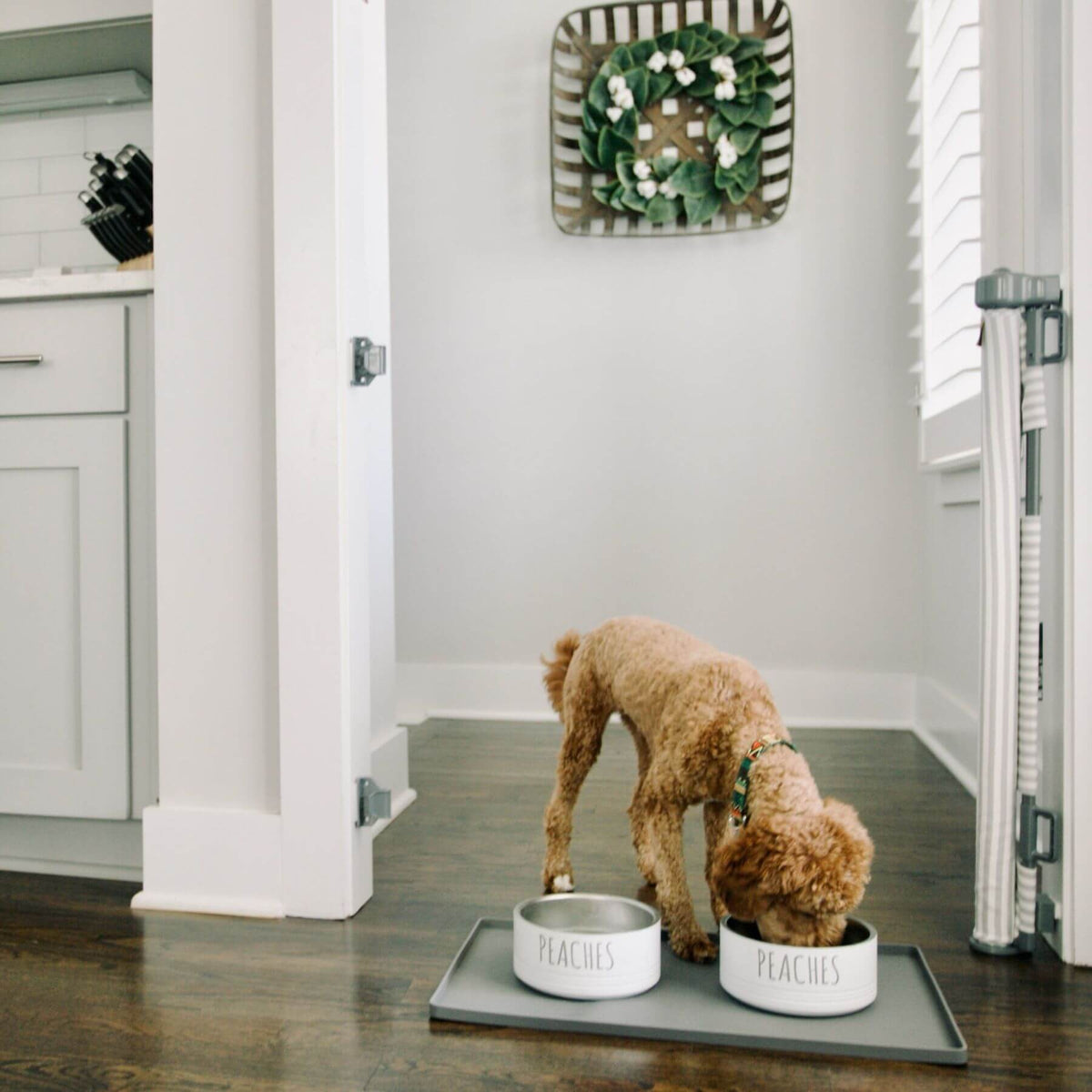 A small tan dog stands on a gray mat in a bright indoor room, eating from two white bowls labeled “PEACHES.” The bowls are placed on a dark gray tray.