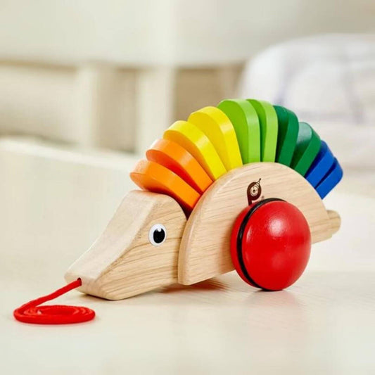 PinToy Porcupine Pull-Along Toy - Lifestyle
