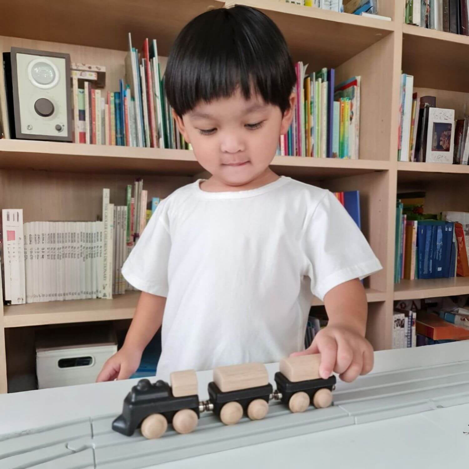 Boy Playing PlanToys Classic Train