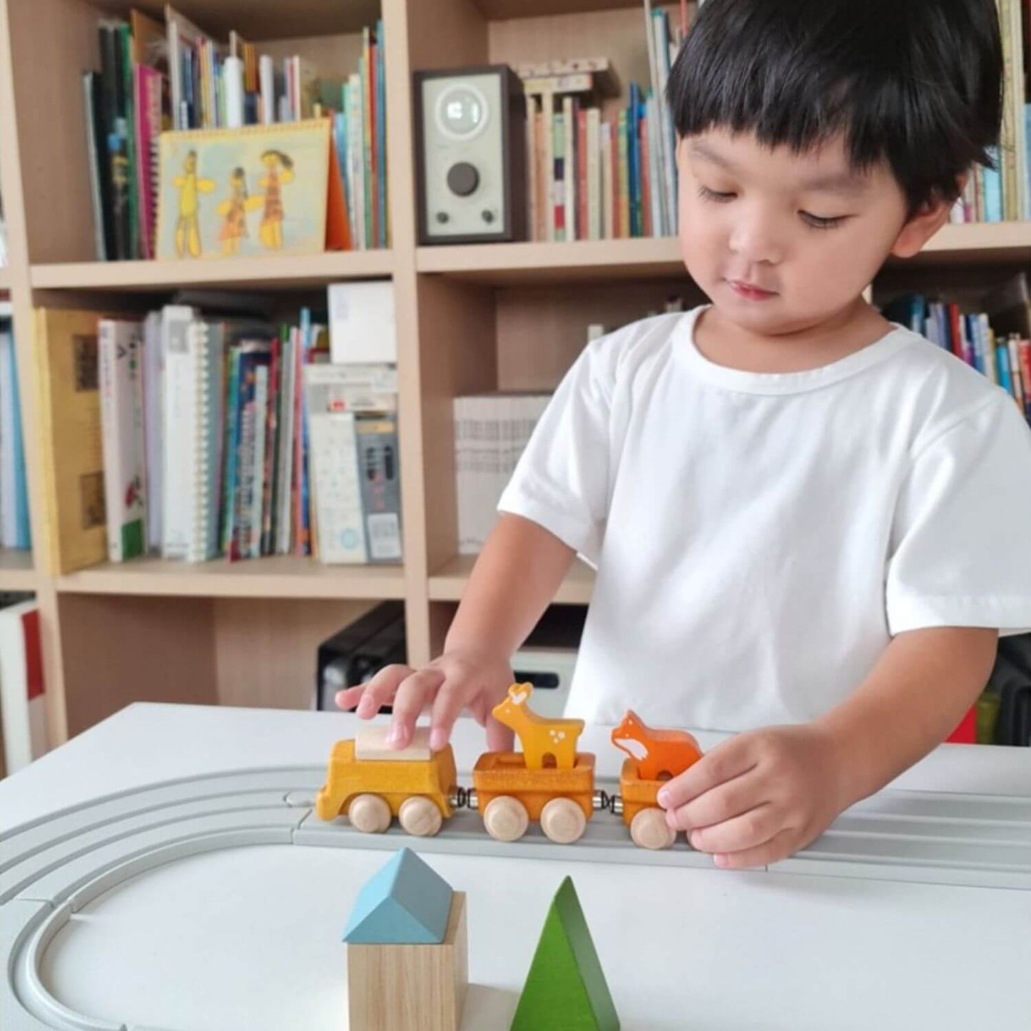 Boy Playing PlanToys Classic Train