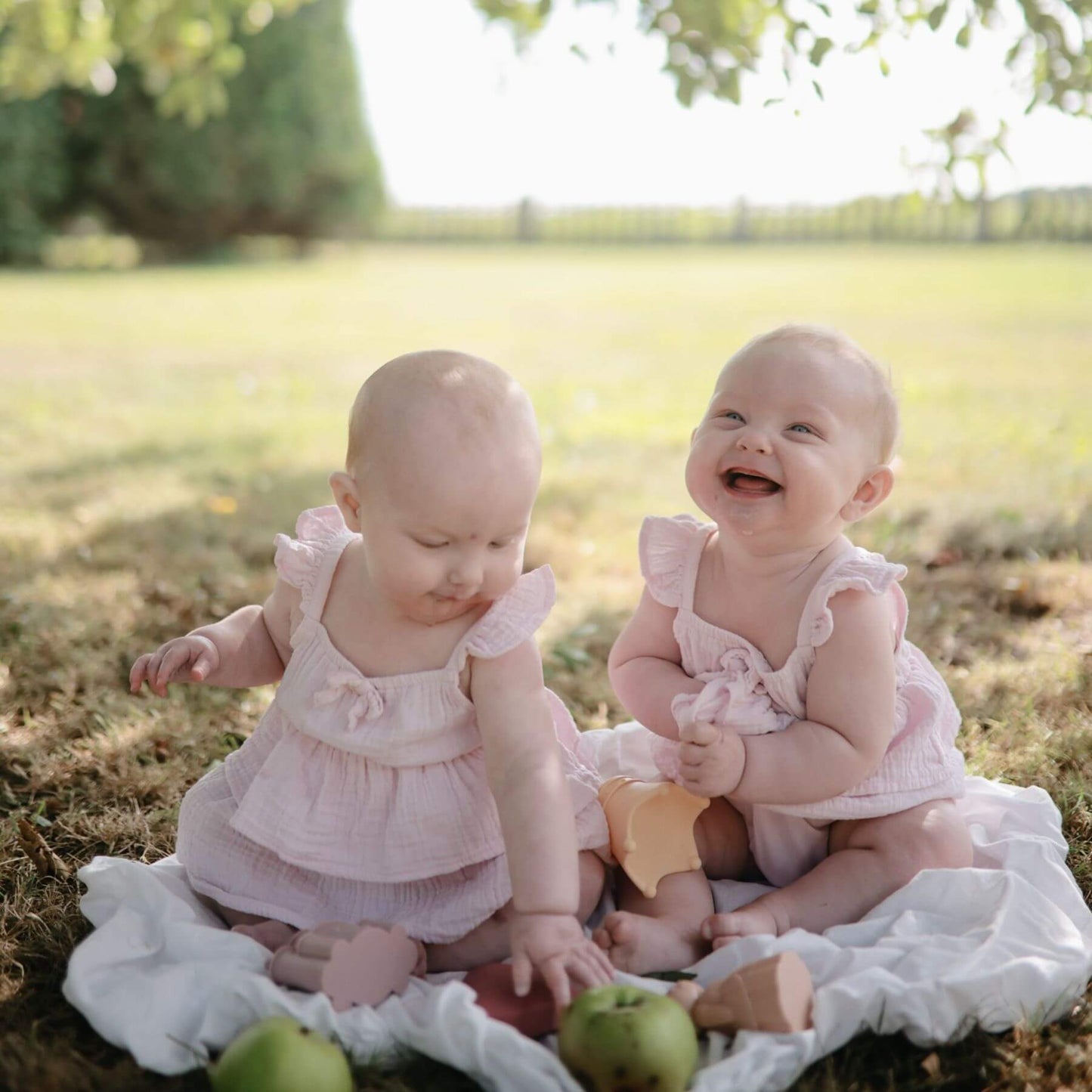 Two babies in matching pink dresses sitting on a blanket in a grassy field.
