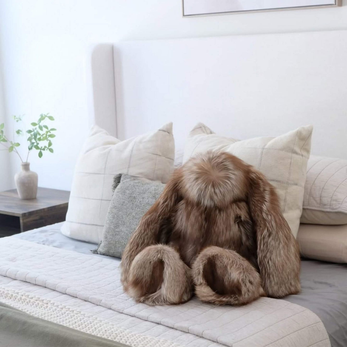 Rabbit Teddy light brown on a sofa with decorative pillows in a cozy living room.