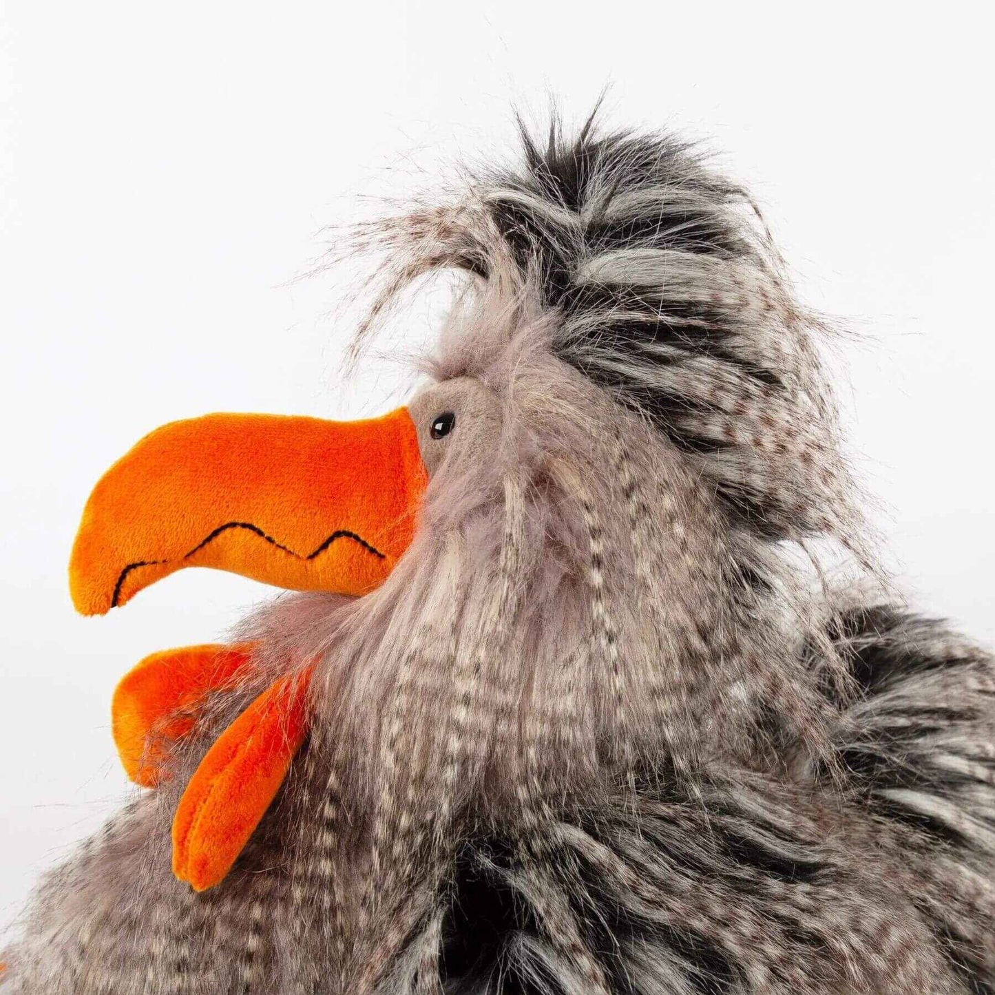 Close-up of sigikid Roost Boost