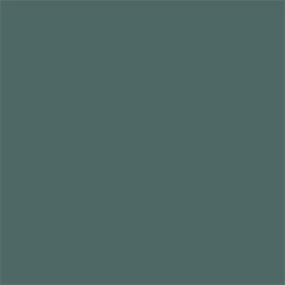 Solid dark green color swatch