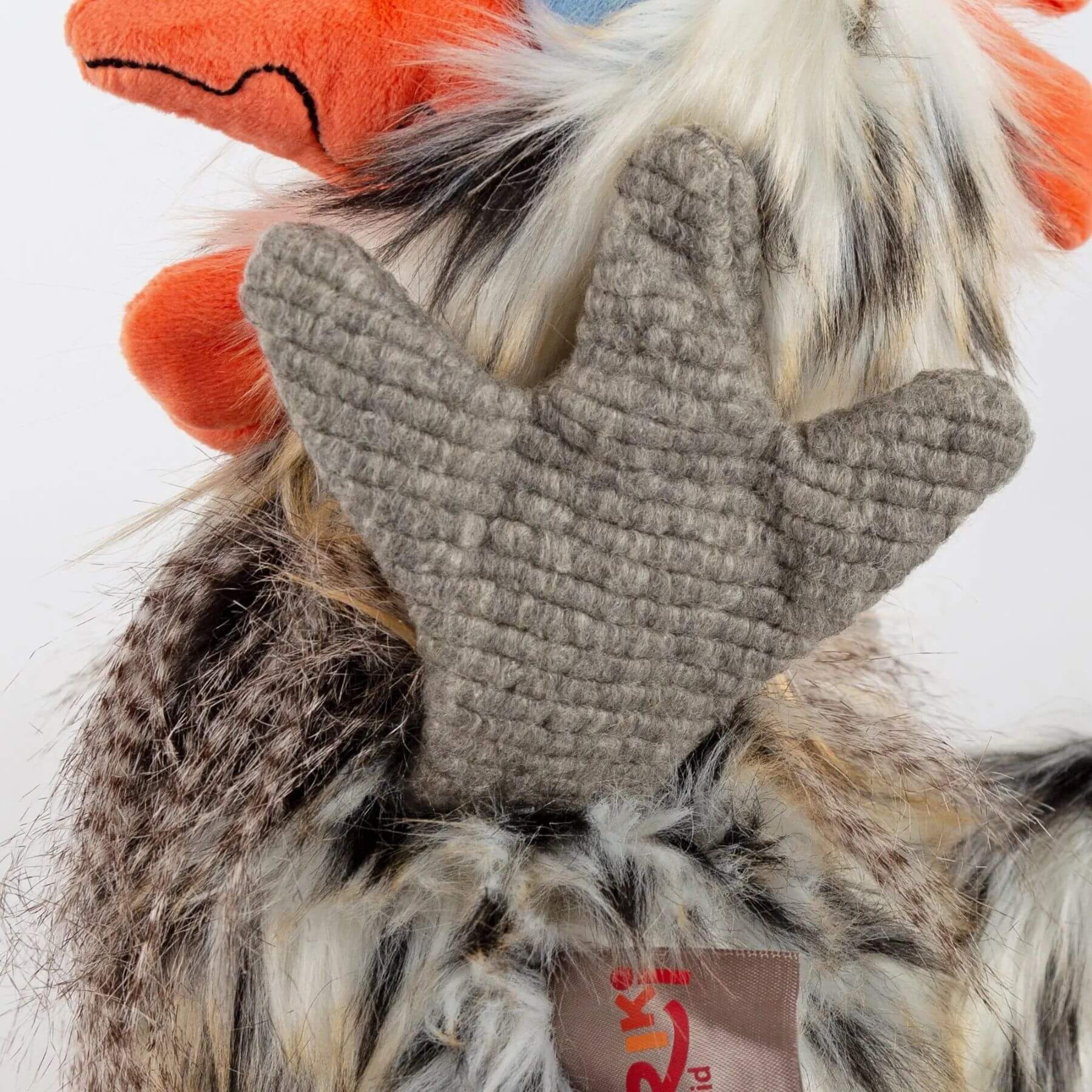 Close-up of sigikid Tour De Poule