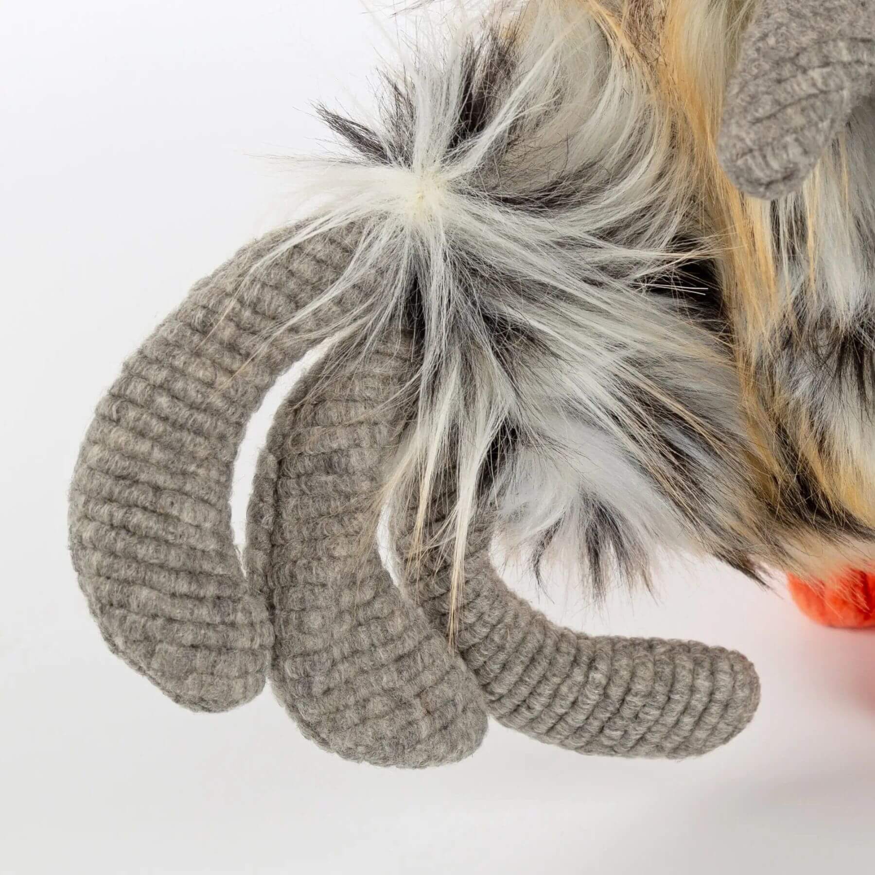 Close-up of sigikid Tour De Poule