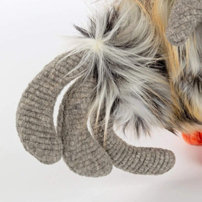 Close-up of sigikid Tour De Poule