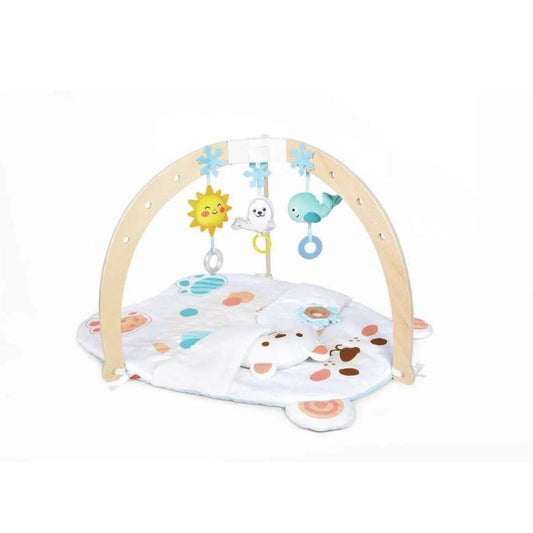 Hape Snuggle Bear Activity Gym