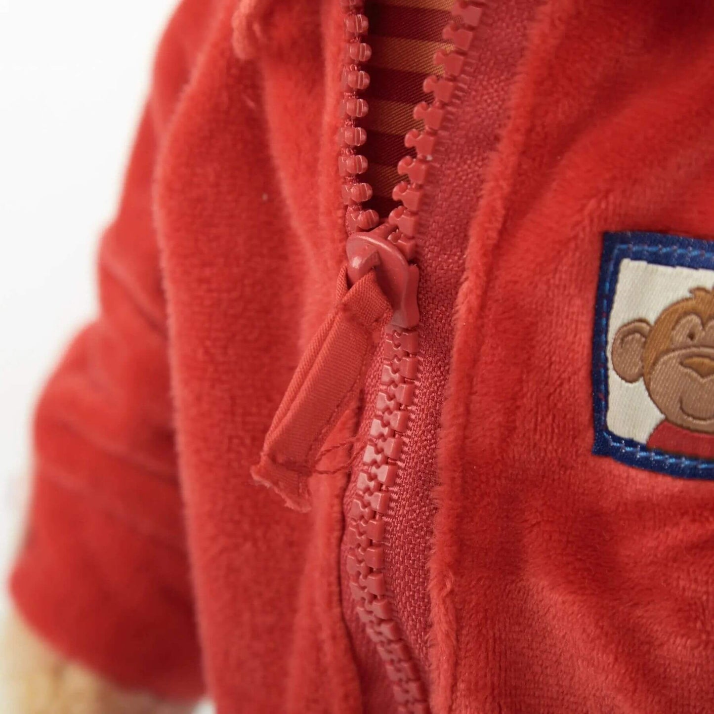 Close-up of sigikid Teaching Monkey