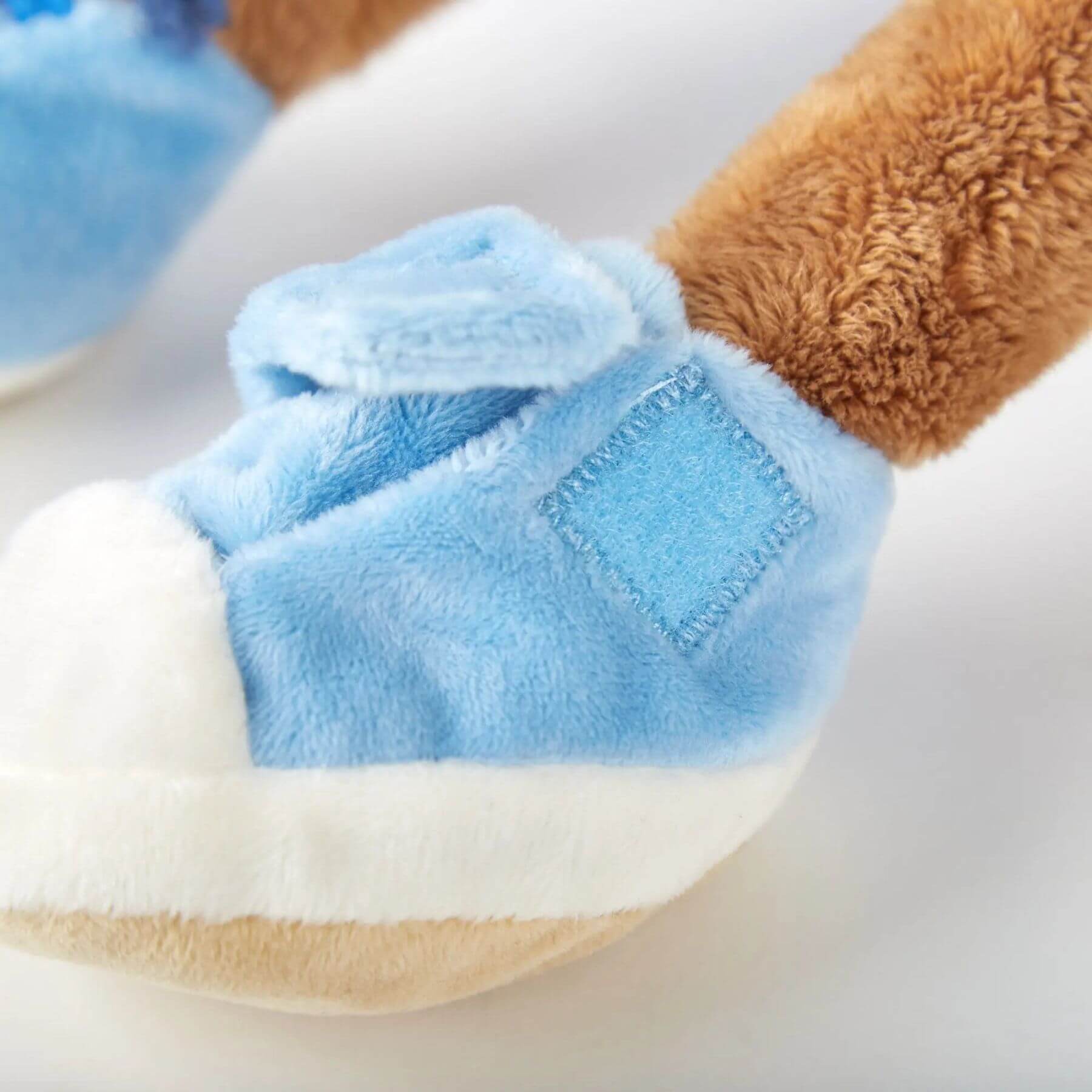 Close-up of sigikid Teaching Monkey