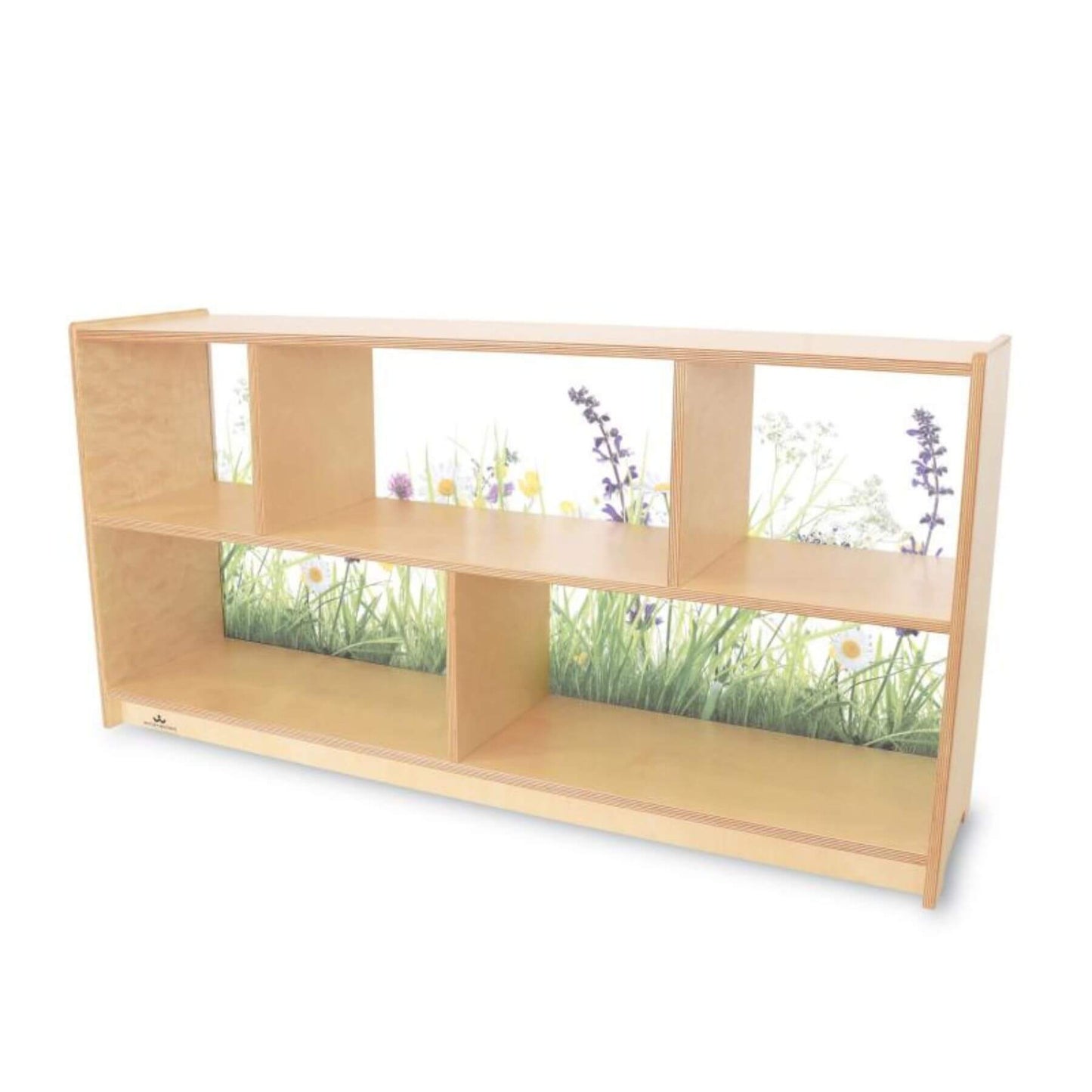 Whitney Brothers Nature View Acrylic Back Cabinet 24H